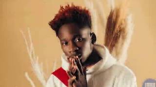 🎶 E Kelly ft Mr Eazi -Need somebody (Lyrics/Paroles)