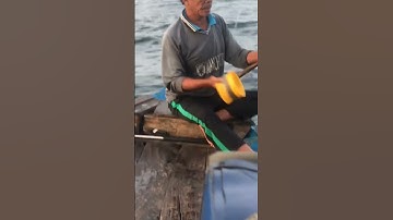 #60fps  nghề câu cá nục trên biển Đông #shorts