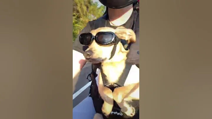 Pablo and the Open Road