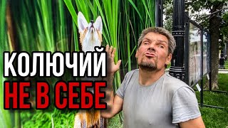 картинка: Бездомные в центре Москвы. Колючий не в себе (выпуск 9) бомжуртв