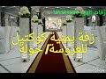 زفة يمنية كوكتيل للعروسة خولة زفات الهزبر717192232 