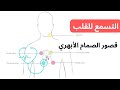   صوت قصور الصمام الأبهري