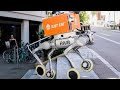 AI Robot Dogs Deliver Fast Food In Zurich As Just Eat Pilots New Technology 