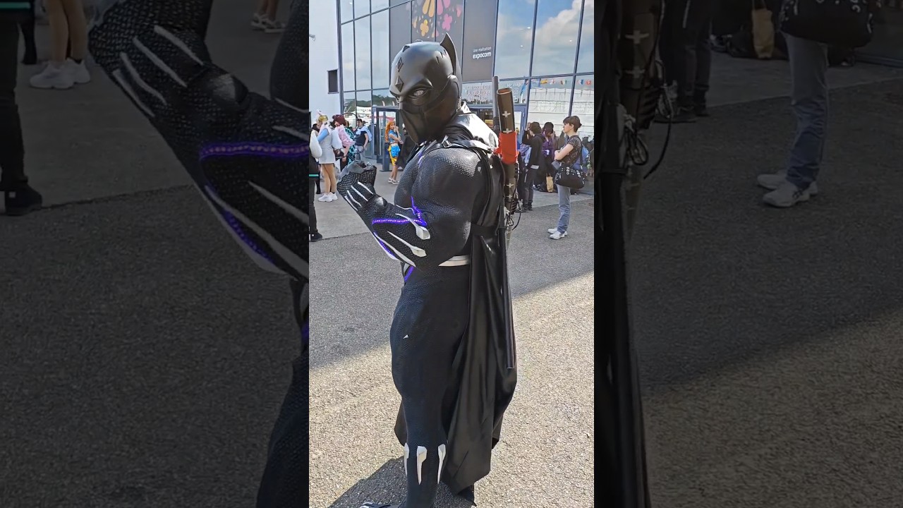 Black Panther from marvel comics 