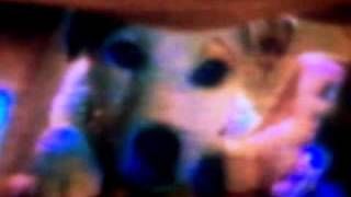 You Are The New Day Pbs Positioning Spot Version 2