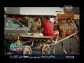 #حكومة_نص_الليل الطريق الدائري في عيون