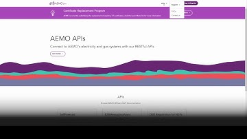 Developer Portal Build