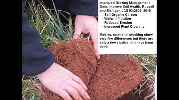 Mob Grazing: An Animal Scientist/Producer Perspective