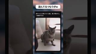 遊んでたつもりの猫w