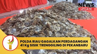 Polda Riau Gagalkan Perdagangan 41 Kg Sisik Trenggiling Di Pekanbaru