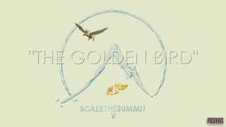 Scale The Summit - The Golden Bird Teaser