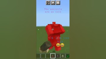 When I tried to use /playanimation @e animation.ghast.scale r 100 #minecraft #minecraftcommands