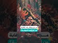 لولا الفطريات لدفنت الغابة تحت أوراقها الميتة!