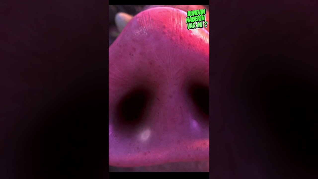 Buz devri 4 inanılmaz sansür