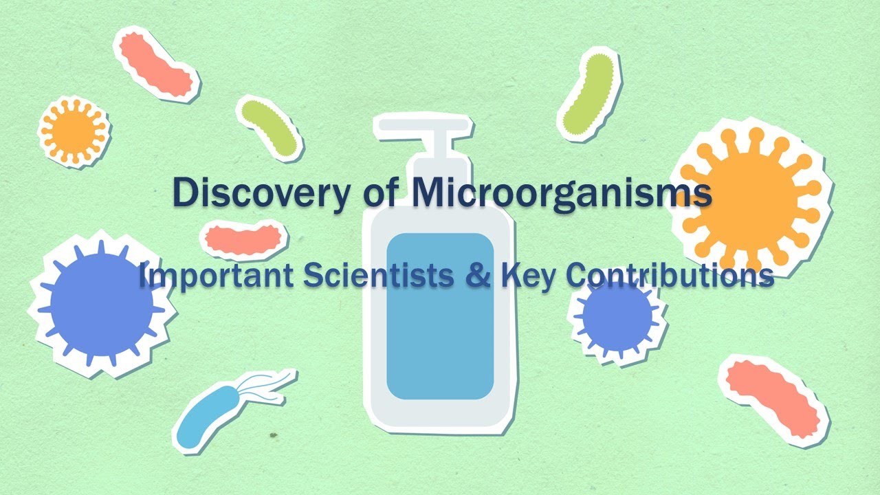 Discovery of Microorganisms | Important Scientists & Key Contributions ...