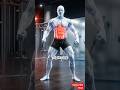 3 Rounds of This Builds a Strong Tight Core #shorts
