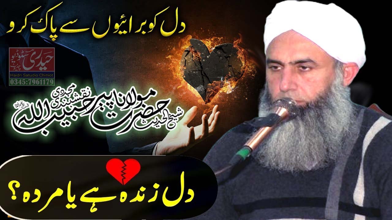 Dil Zinda Hai Ya Murda? Hazrat Molana Peer Habibullah Naqshbandi Latest Bayan Chiniot 2024