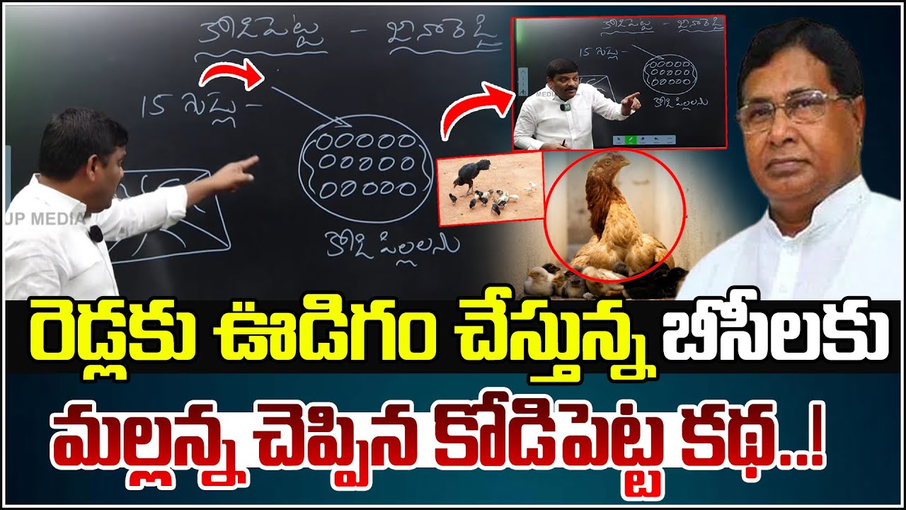 “Mallanna’s Powerful ‘Hen Story’ for BCs: Breaking Free from Reddy Domination!”I Shanarthi Telangana