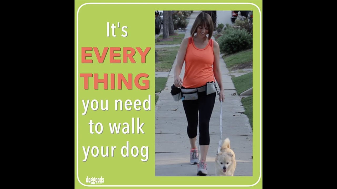 DogGoods "The Everything Leash": Hands-Free Dog Leash & Complete Modular Fanny Pack for Dog Walking