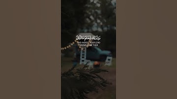 قرآن كريم • تلاوة عطرة للقرآن الكريم | أرح نفسك و أذنك #راحة_نفسية #quran #حالات_واتس #قرآن_في_دقيقة