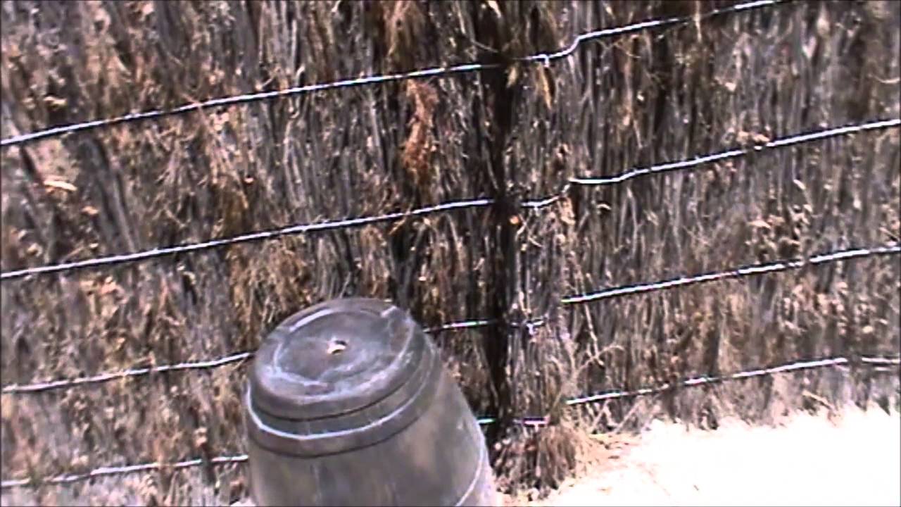 Adventure World Soundscapes and Audio Effects