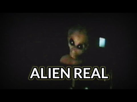 ESTE VIDEO NOS