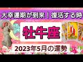 牡牛座【2023年5月の運勢】💕大幸運期が到来!復活する時👑良い選択への道!豊かさがどんどん拡大。星とカードで徹底リーディング🌸