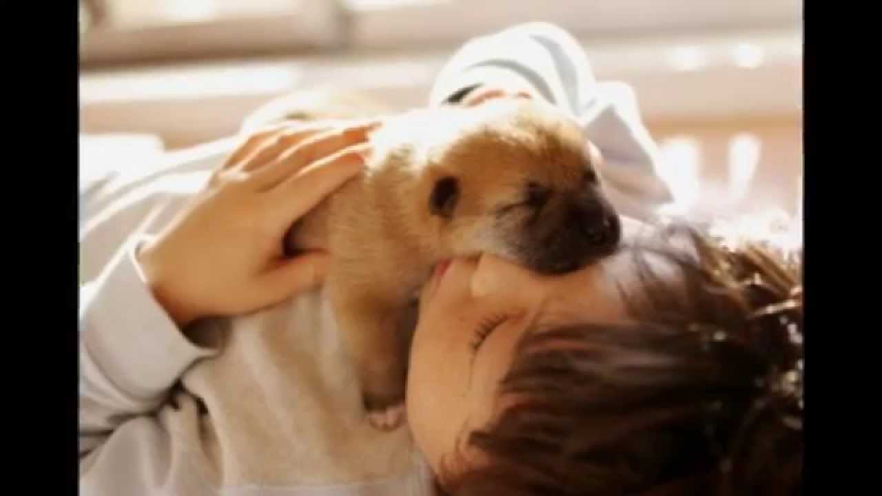 犬と子供の面白くて可愛い寝方 爆笑しすぎにご注意下さい Ww Youtube