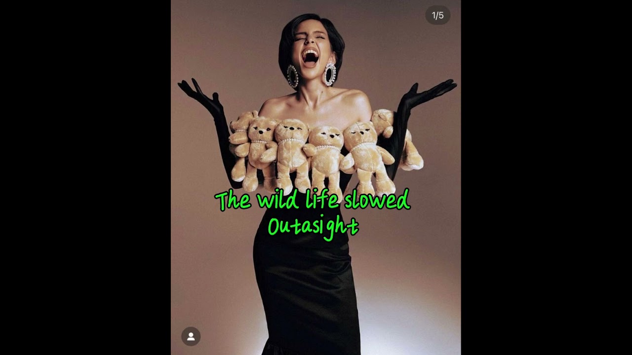 The Wild Life By Outasight (slowed)