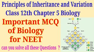 Principles of inheritance and variation class 12 important mcq for neet exam