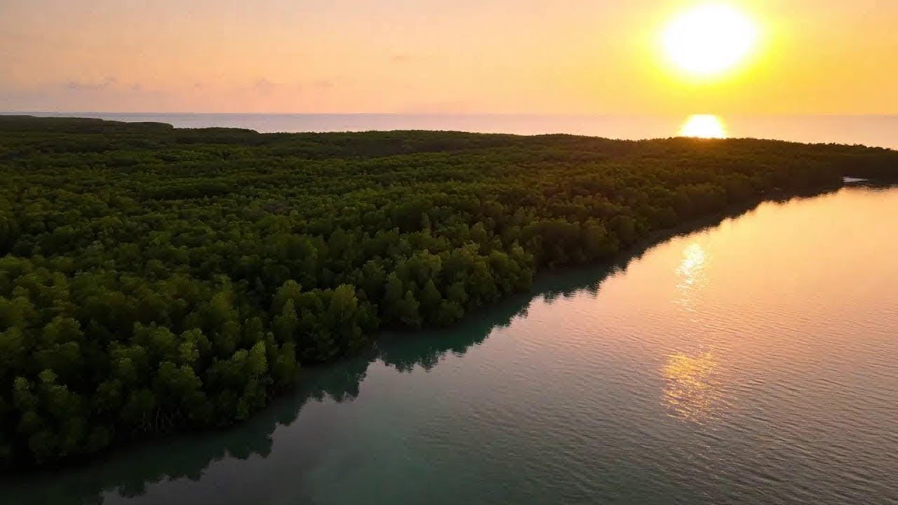 Midnight Sunrise View Chill EDM Mix – Deep House Beats for Study Focus 🌤🎶