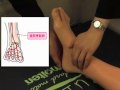 足背動脈、後脛骨動脈 触知の方法 出直し看護塾 on the web