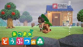 【どうぶつの森】まったりする配信#4【#畑荒しの時間】