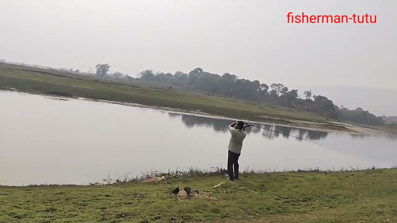 Amazing snackhead attack//hunting big size//5kg// frog lure casting//