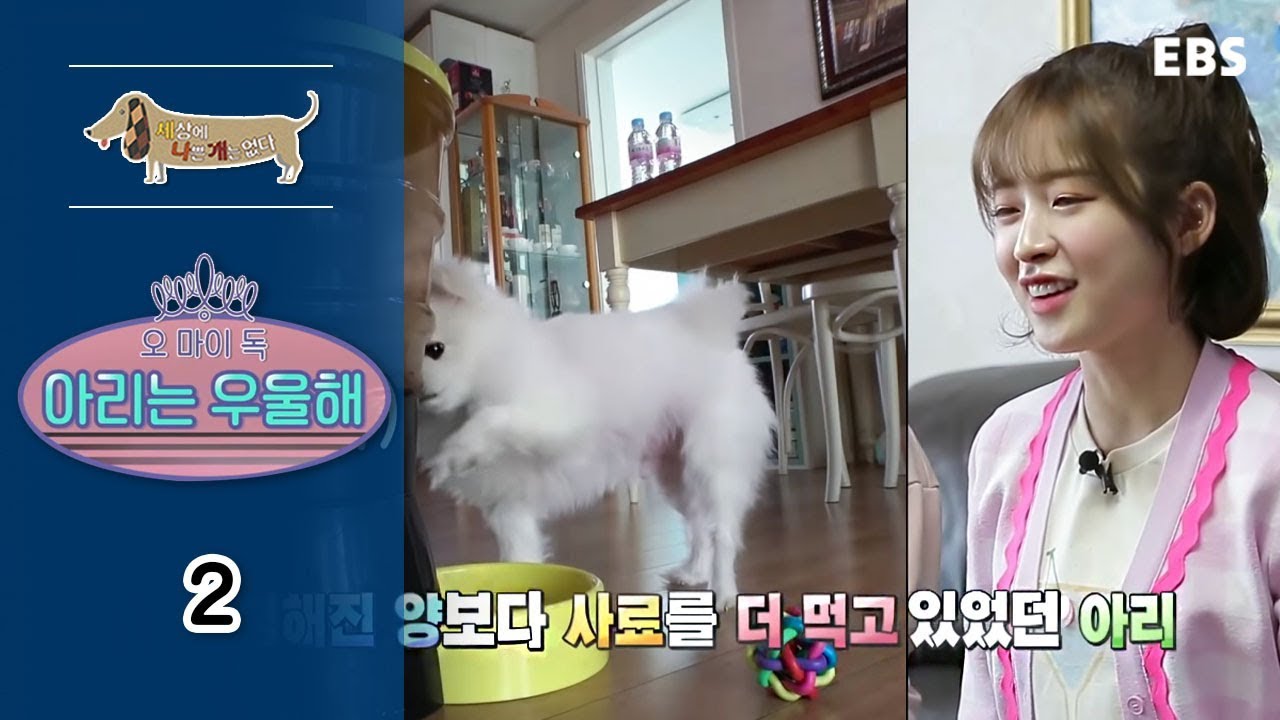 세상에 나쁜 개는 없다 - 오 마이 독 아리는 우울해_#002