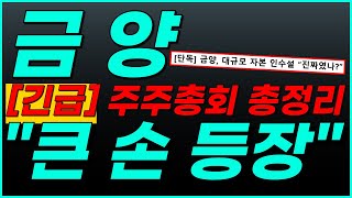 ⚠️금양, [단독] &quot;자금조달 해결&quot;▶100% 거래재개 초대박 자료 공개👏