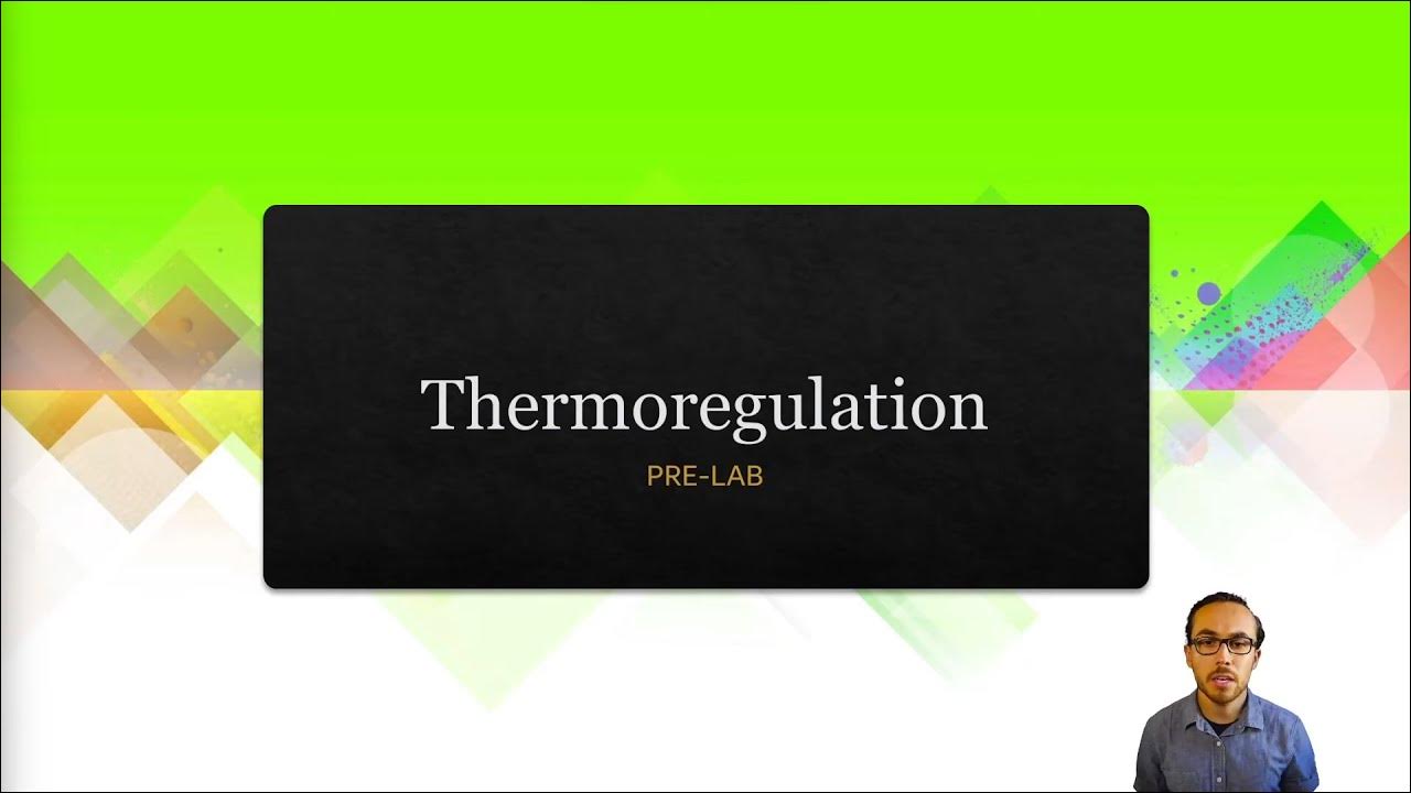 Thermoregulation PreLab YouTube
