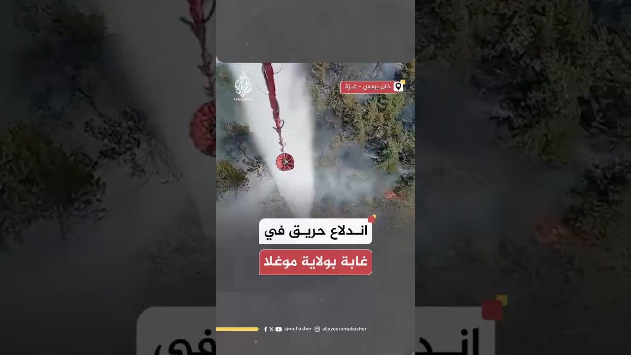 فرق الإطفاء تحاول إخماد حريق اندلع في إحدى الغابات بولاية موغلا
