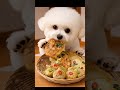 【ASMR】Korean New Year Pancakes (Jeon) Mukbang 🍳✨ | チヂミ전