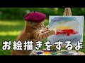 子猫がお絵描き⁈ 何を描くのかな？？”Coco's Cozy Kitchen Diary!”『I'm gonna do some doodling!』