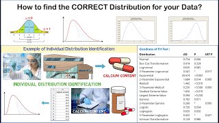 Individual Distribution Identification: Detailed Illustration with Practical Example