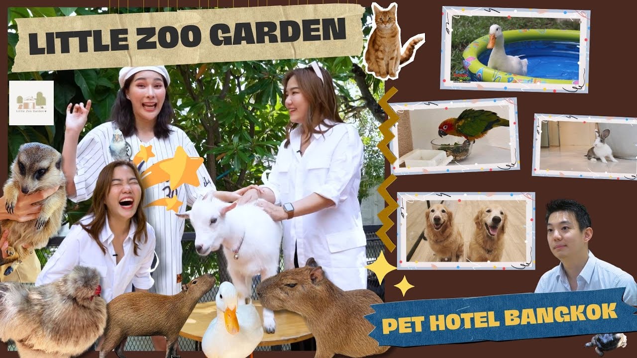 กิน เที่ยว เล่น นอน l Pet Lover by Jerhigh EP.11