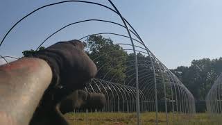 Greenhouses going up 30,000sq feet