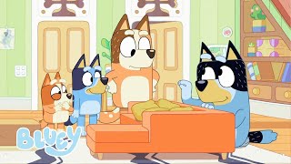 Bluey y Bingo llevan a Shaun de paseo | Shaun || Bluey Español Canal Oficial