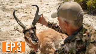 Public Land Pronghorn | Nevada Pronghorn (EP. 3)