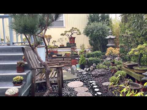 HOLTZMAN GARDEN LIGHT 1-11-23