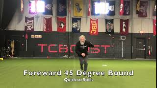 Famous Fwd 45 Degree Bound (Quick to Stick) Wealth