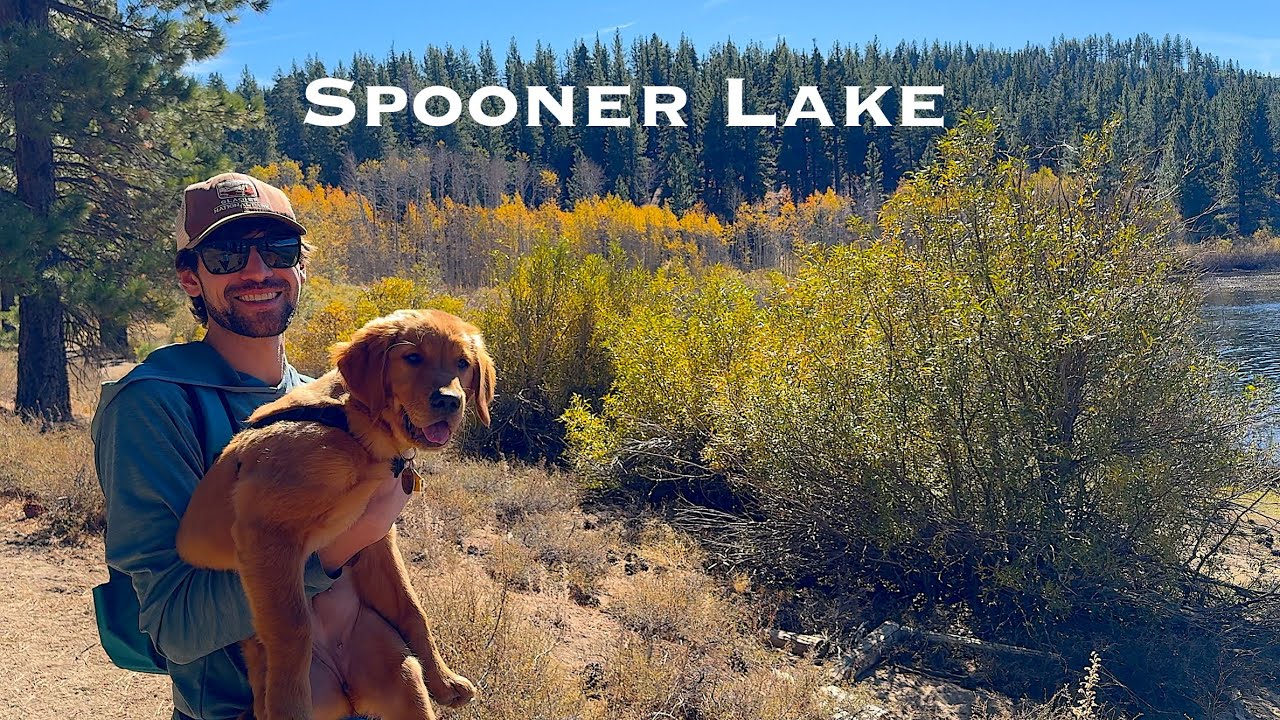 Willow hits the ground running at Spooner Lake!  A Lovely Fall Day in Tahoe!