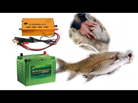 वीडियो: बैटर में मछली कैसे बनाते हैं