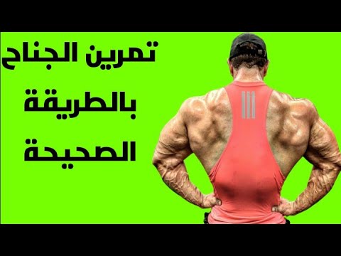 تمرين الجناح بالطريقة الصحيحة Firas Souliman